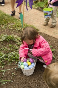 girl collecting eggs